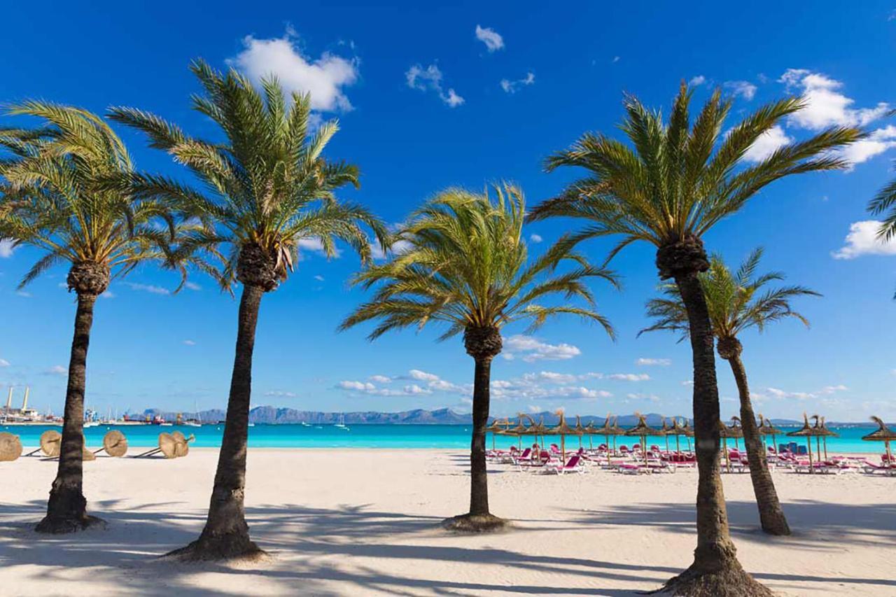 Apartment The Shell Ii, Beach Views And Pool Alcudia  Ngoại thất bức ảnh